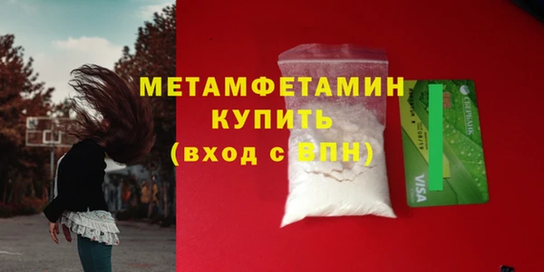 гидра Арсеньев