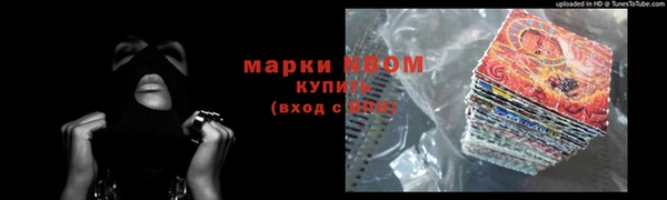 гидра Арсеньев