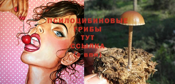 круглые Армянск