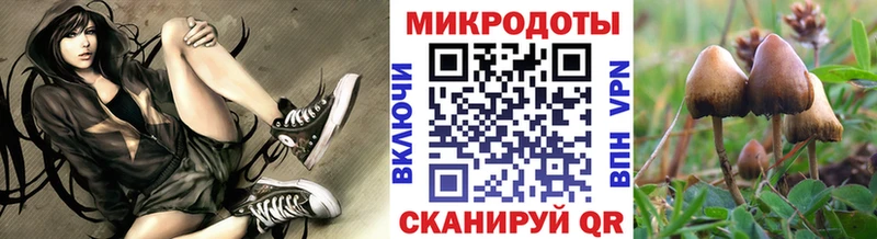 как найти наркотики  Аша  гидра онион  Псилоцибиновые грибы прущие грибы 